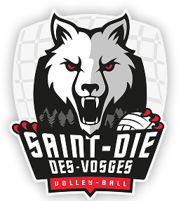 Saint Dié des Vosges